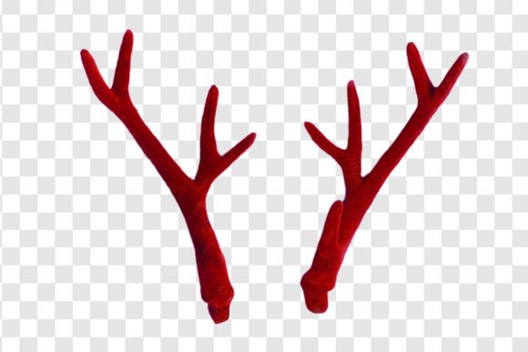 Download #800 Red Reindeer Antlers Isolated - Reindeer Collection